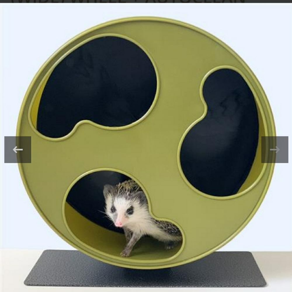 Silent running wheel